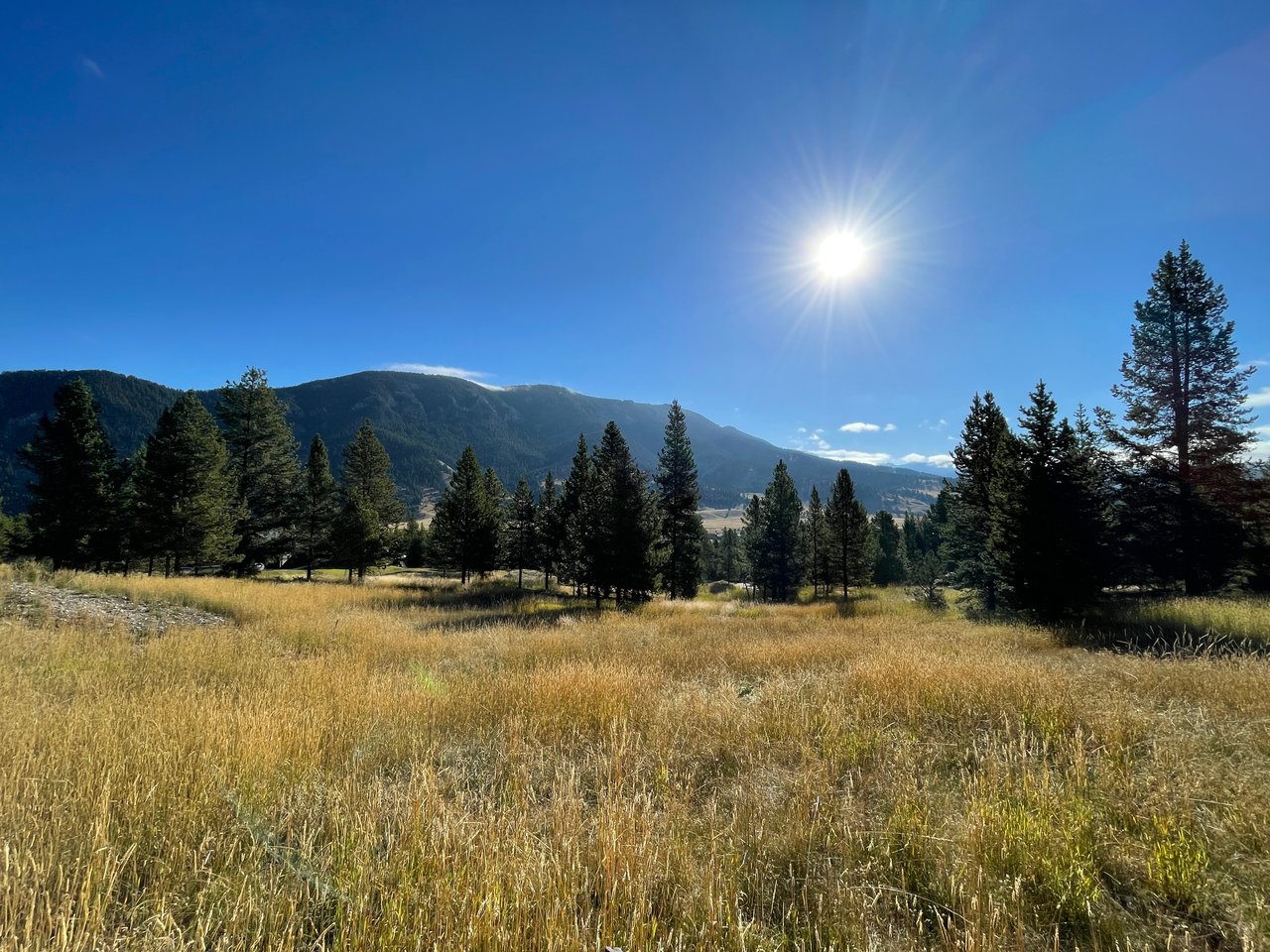 Gallatin Foothills | Canyon