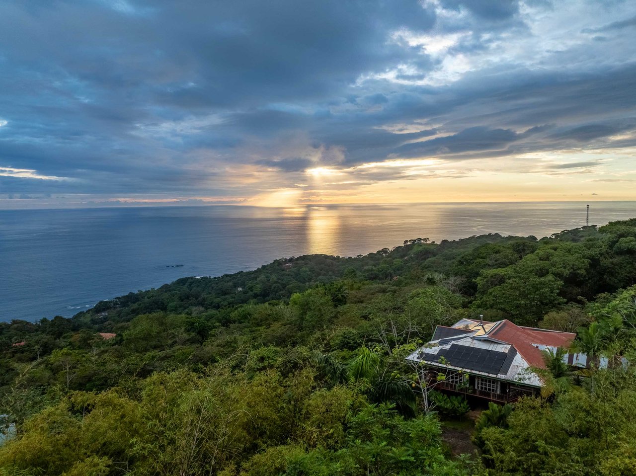 A Handcrafted Residence Immersed in Nature Above the Canopy Ocean View Architectural Home