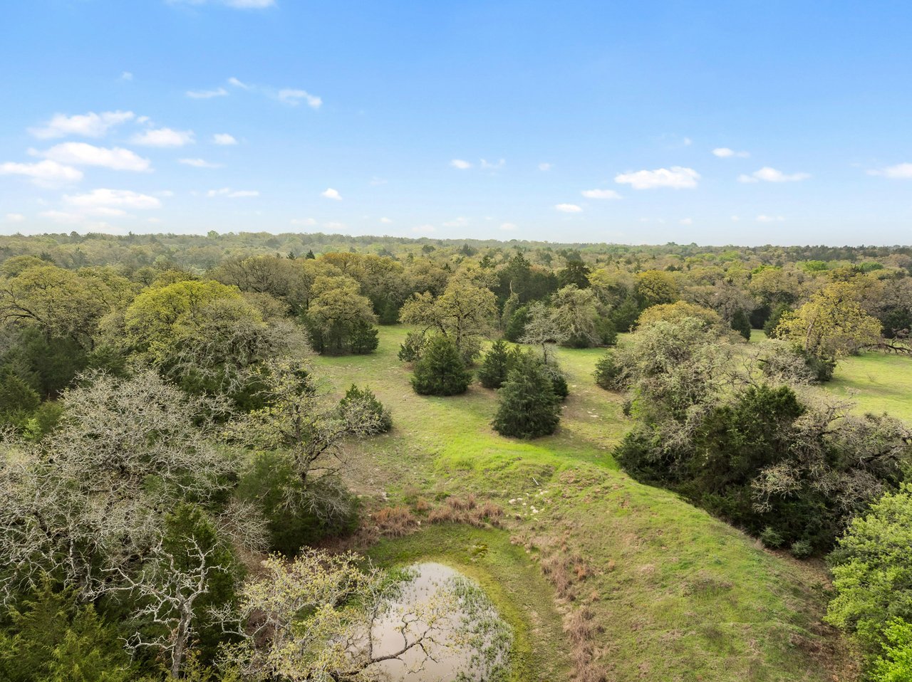 Acreage Estates on Pauline