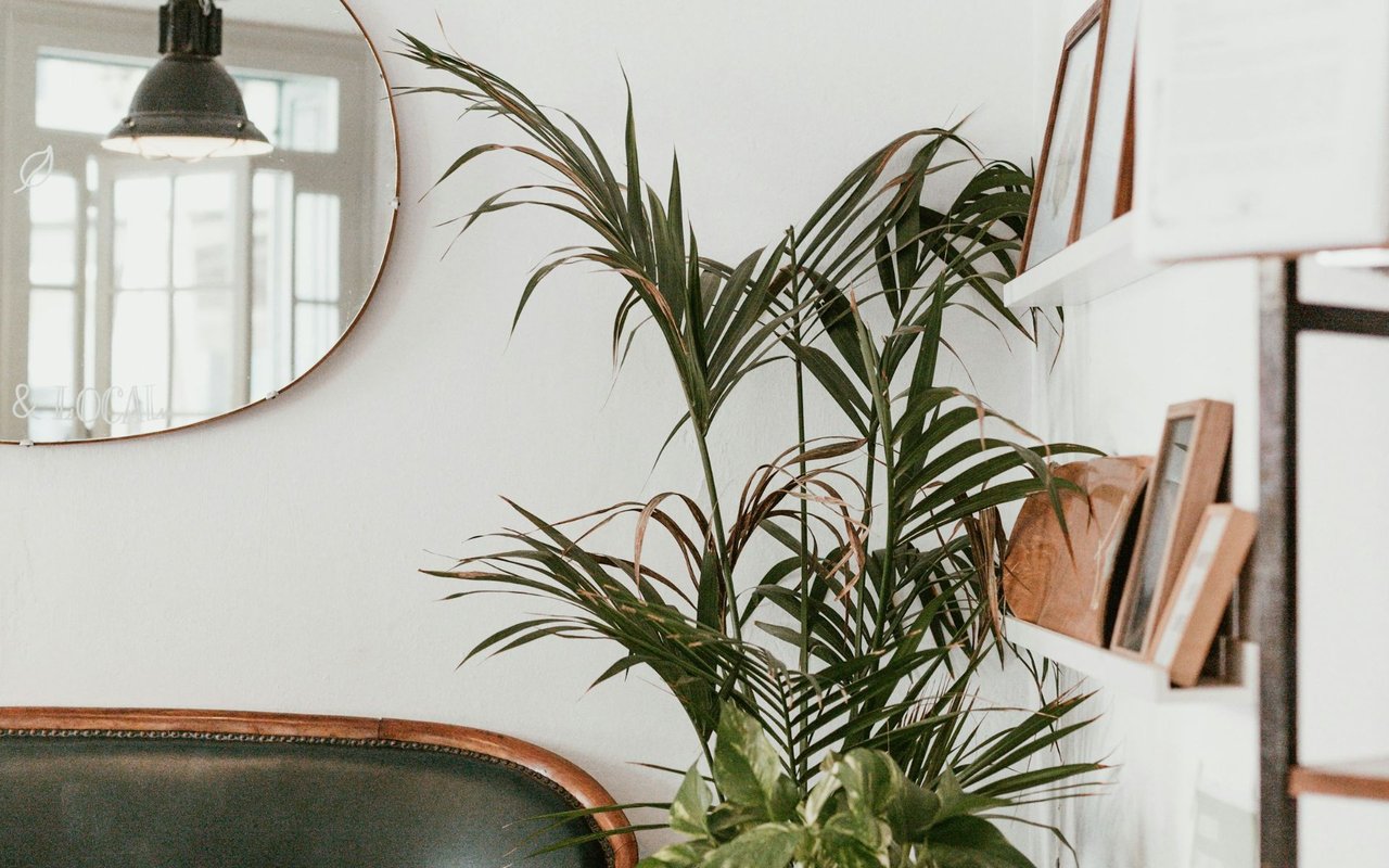 The Importance of Staging