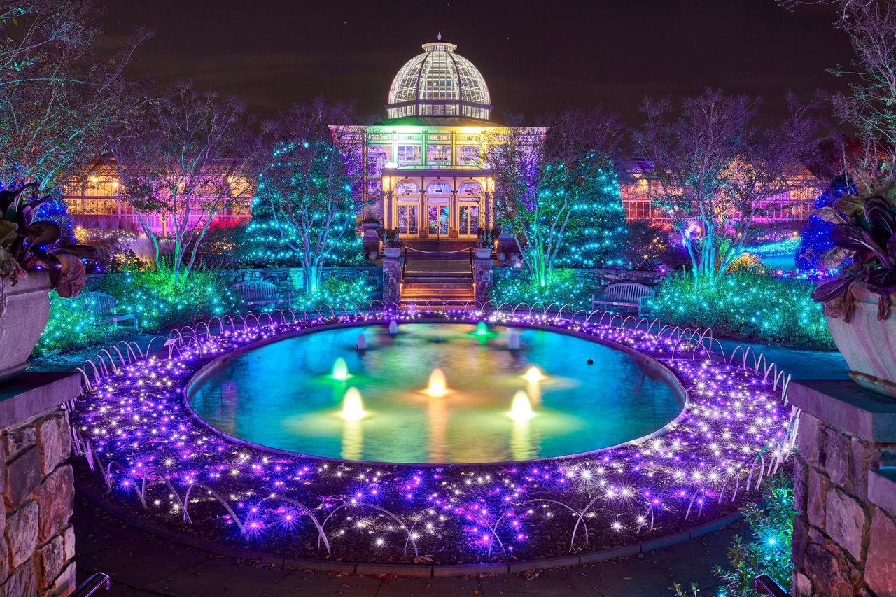 Holiday Light Displays in the DMV