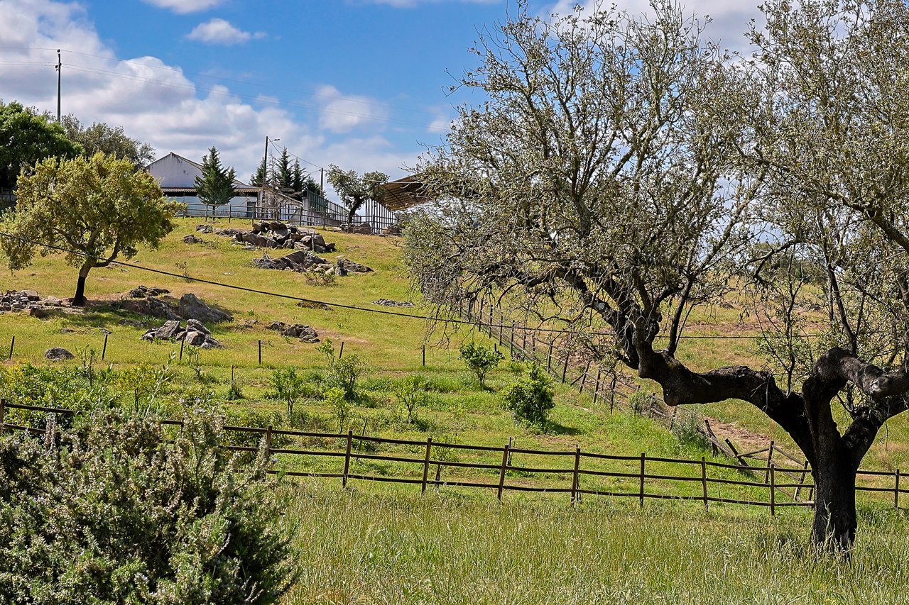 Luxury Wellness & Sports Retreat in Portugal with Expansion Upside & €1M+ Revenue
