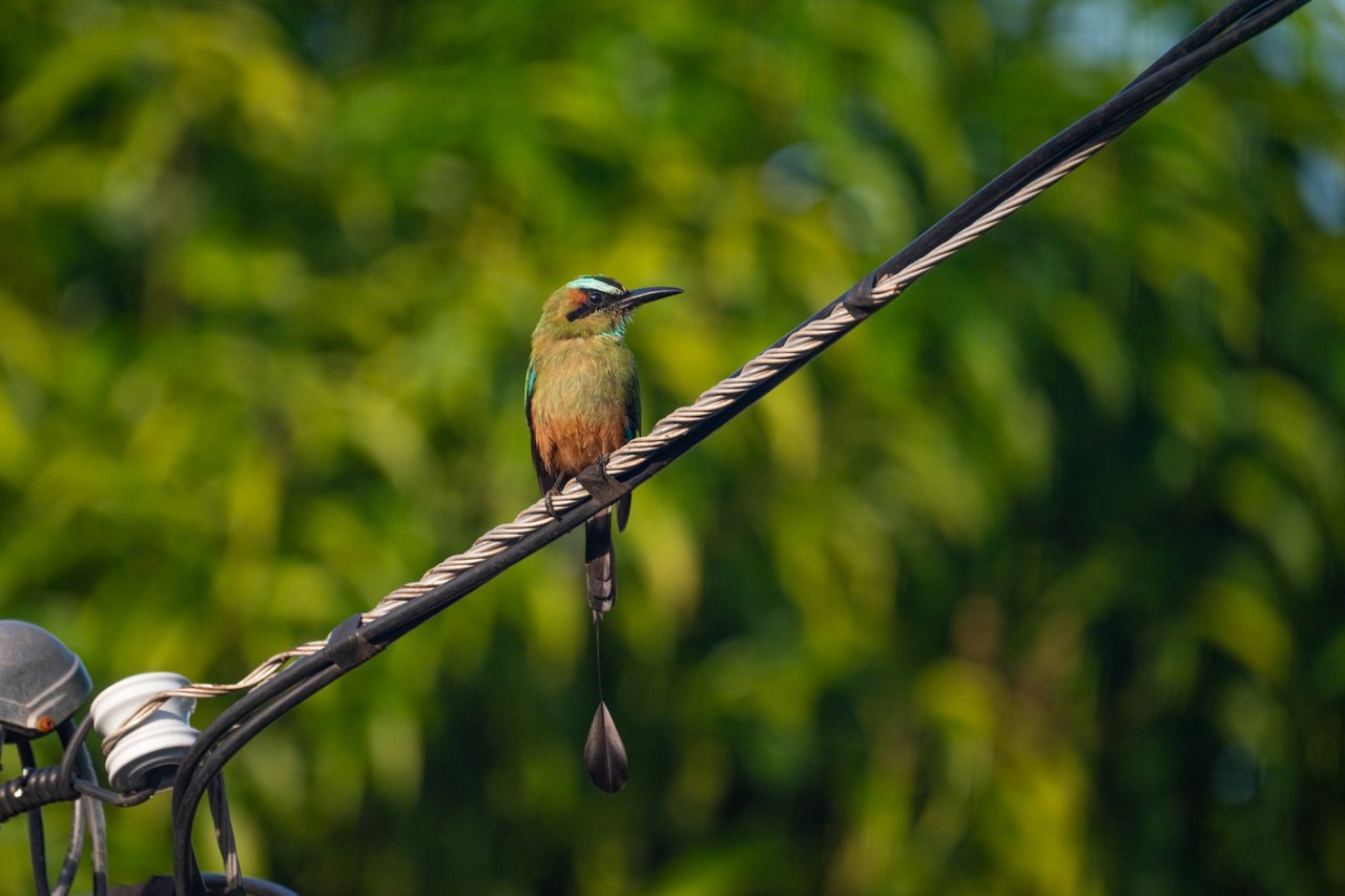 Casa Coroico , Tamarindo, Guanacaste