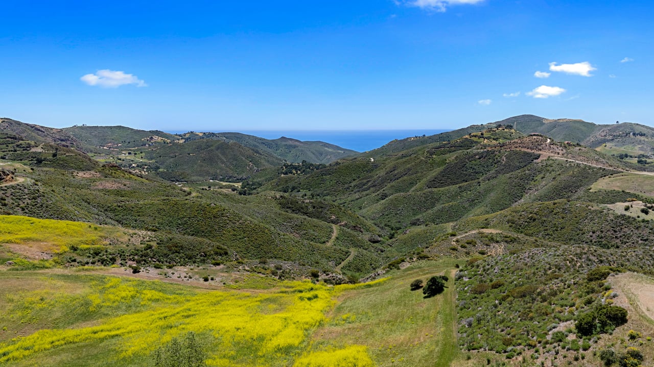 Yerba Buena