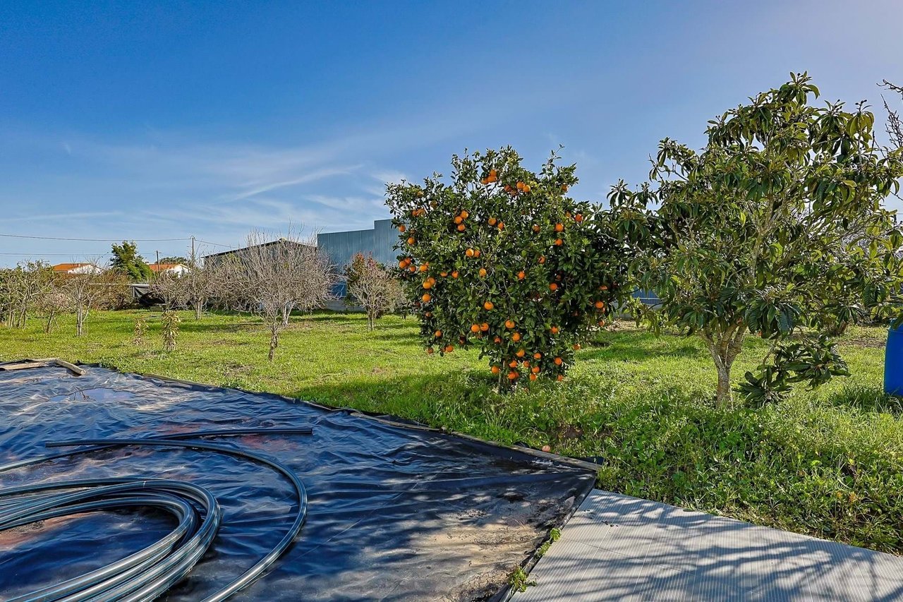 Luxurious 5-Bedroom Home with Pool and Panoramic Views Near Lisbon