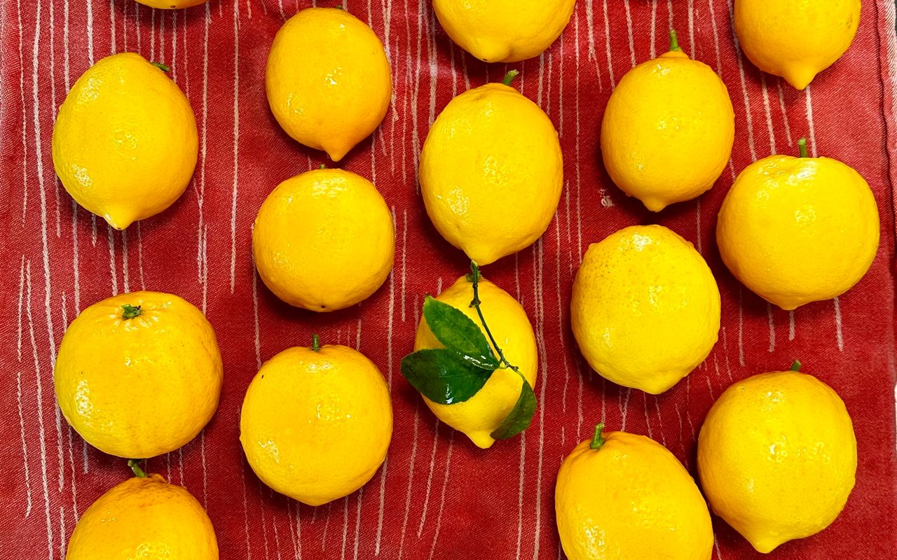 When Life Gives You Lemons