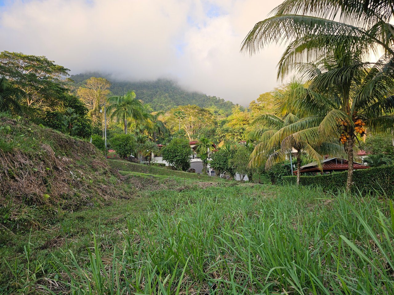 Peaceful Paradise Land in Ojochal with Budget-Friendly Options