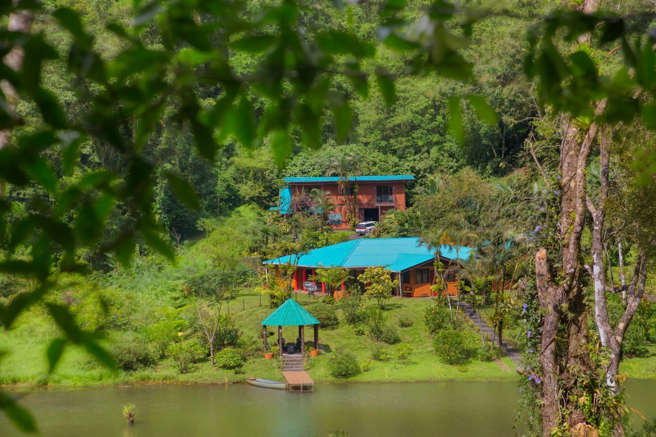The Lucky Bug | Boutique Hotel & Investment Opportunity in Nuevo Arenal