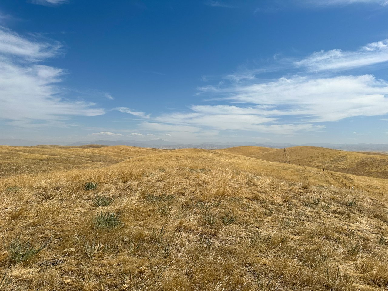 160.00 +/- Acres of Grazing Land North of Famoso Rd.