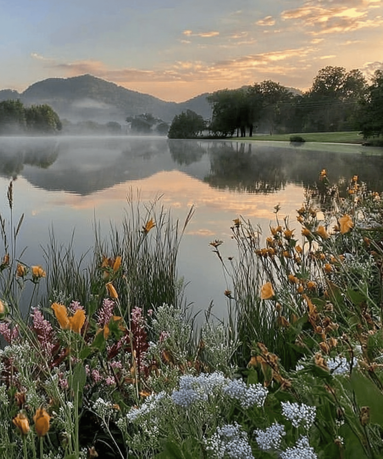 Misty lake reflecting wooded hills at golden hour, framed by colorful wildflowers and tall grasses.