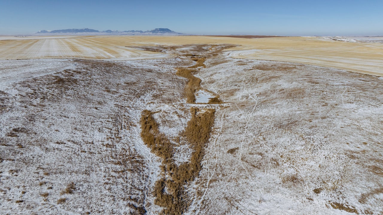 Upland Edge