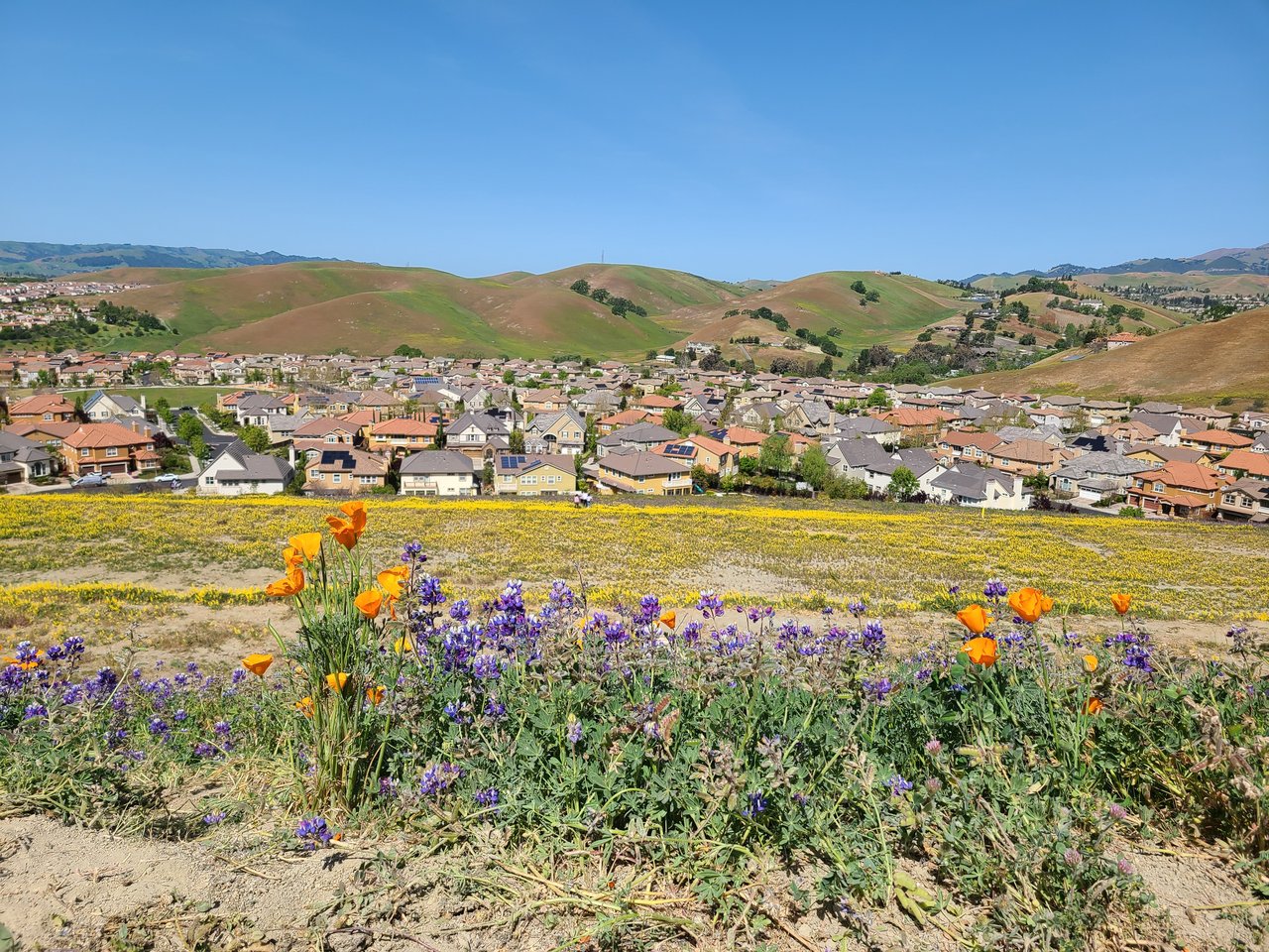 Livermore, CA