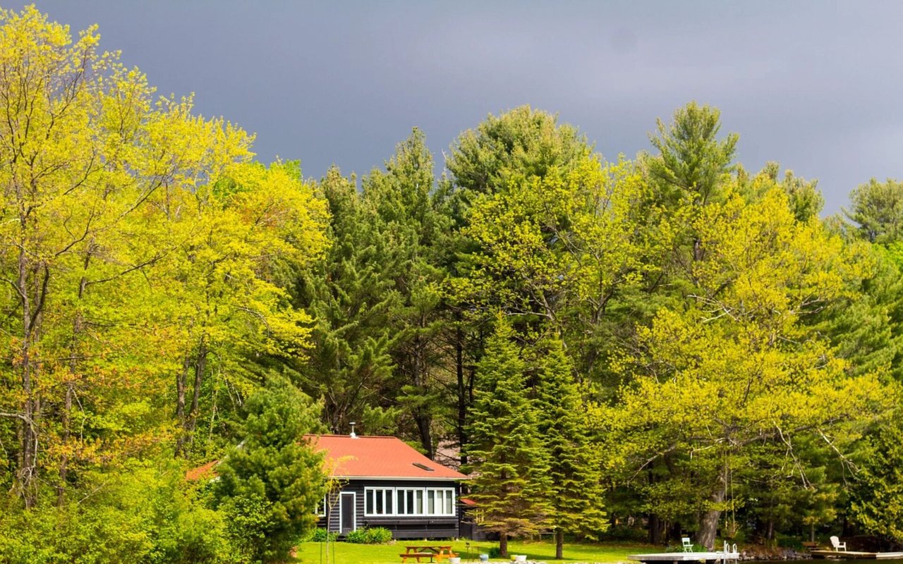 Top Things You Should Do Before Buying A Rural Home