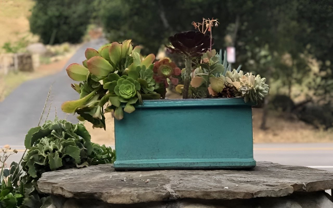 Turquoise planter of assorted succulents on a rough stone table outdoors.