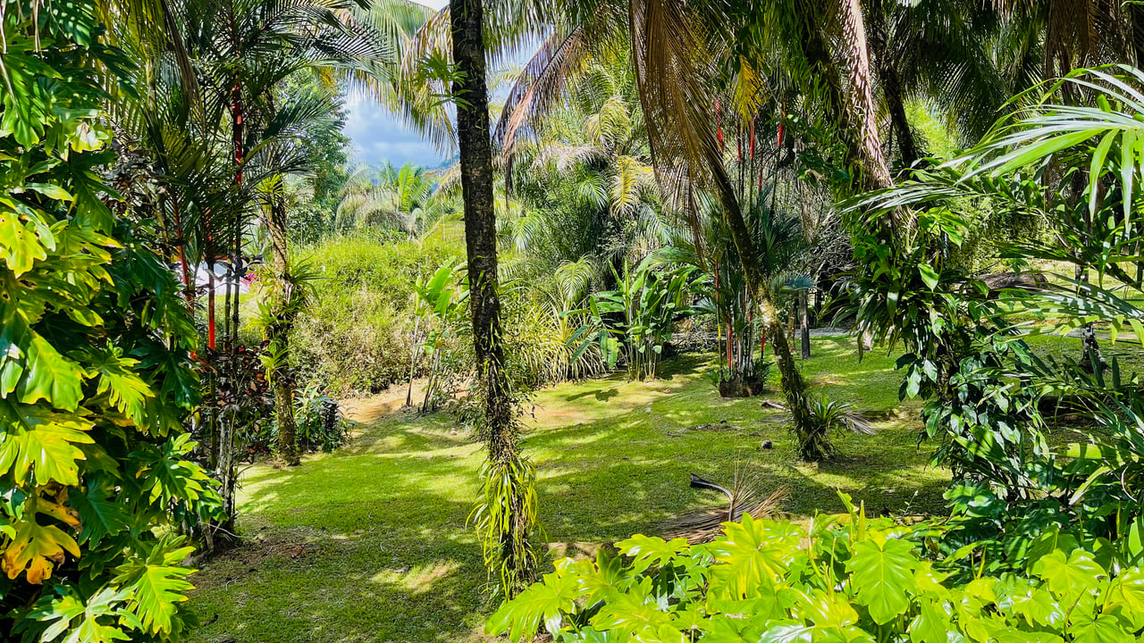 Charming 3 Bedroom Home on Lush Acreage with Pocket Ocean View