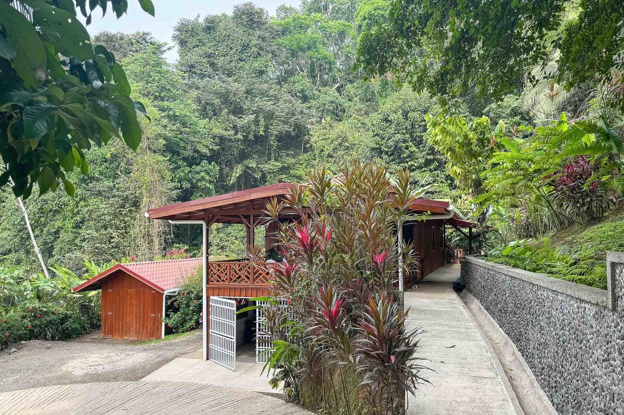 Waterfall Beachfront Estate, Osa, Puntarenas