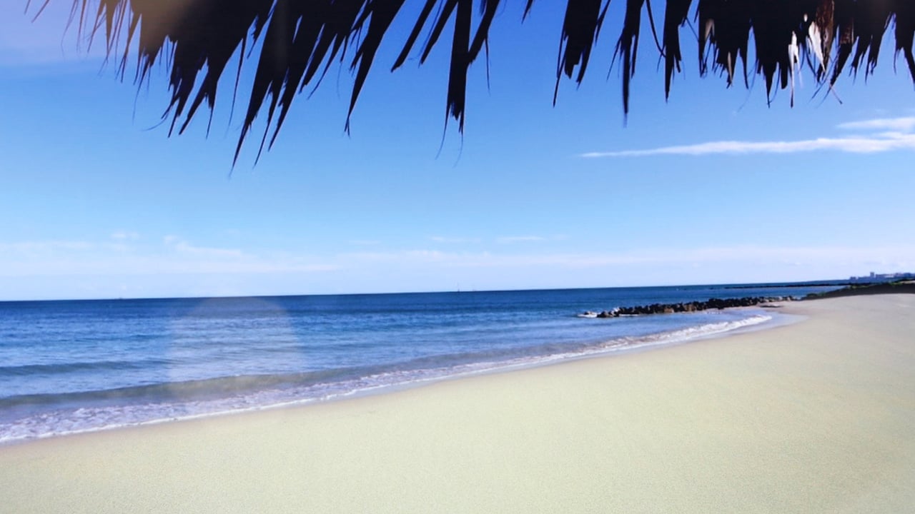 Fisher Island Mansion No. 4