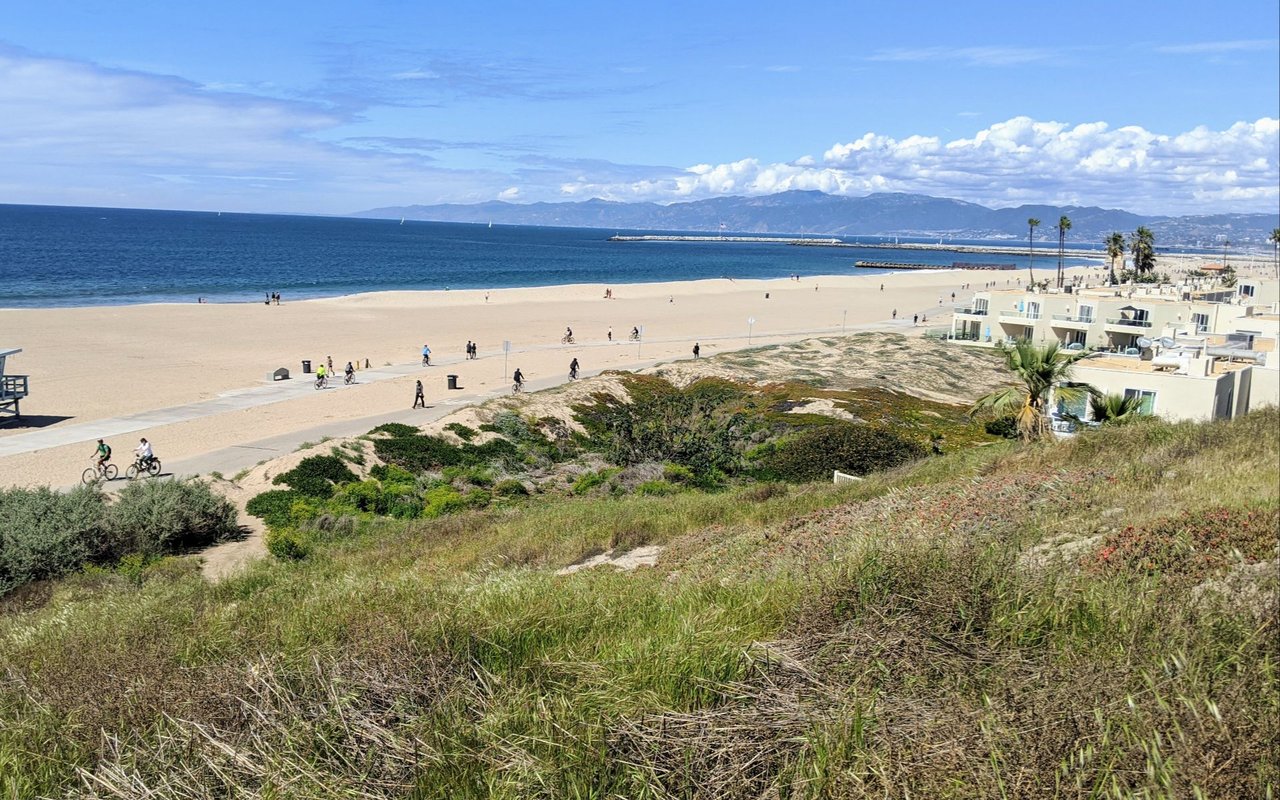 Playa Del Rey