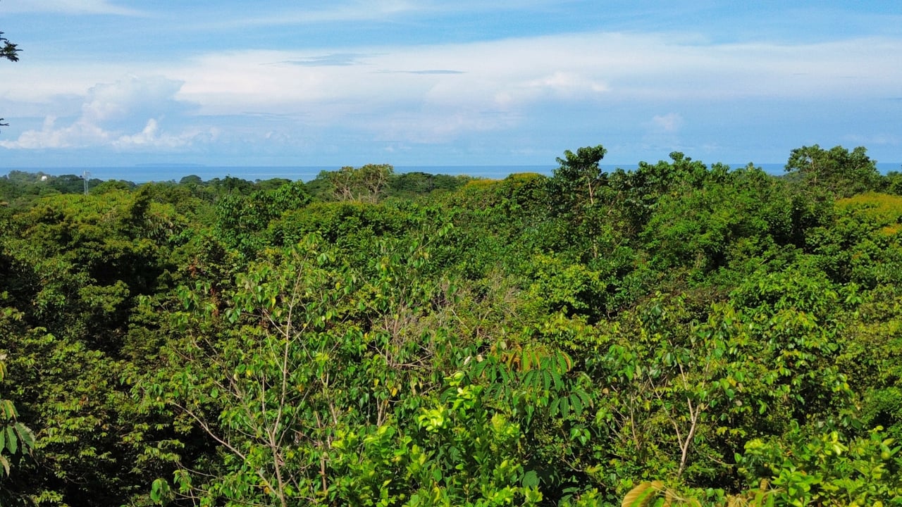 FIRE SALE - Cano Island & Ocean Views, w/Approved Building Plans