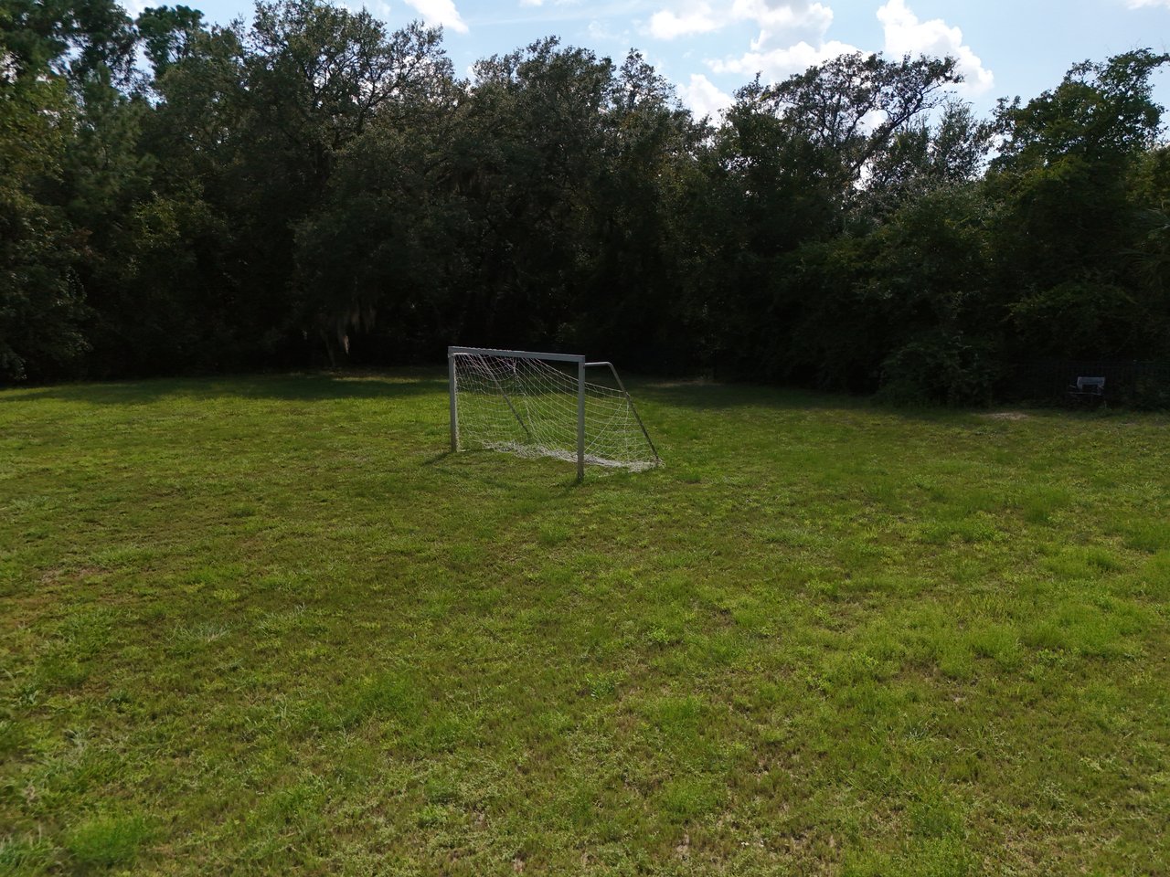 Grassy recreation field with a small soccer goal and a wooded edge.