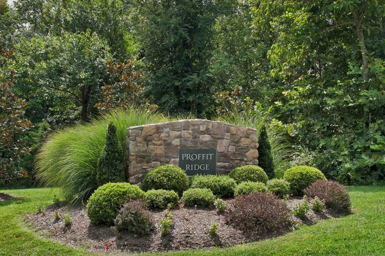 Profitt Ridge