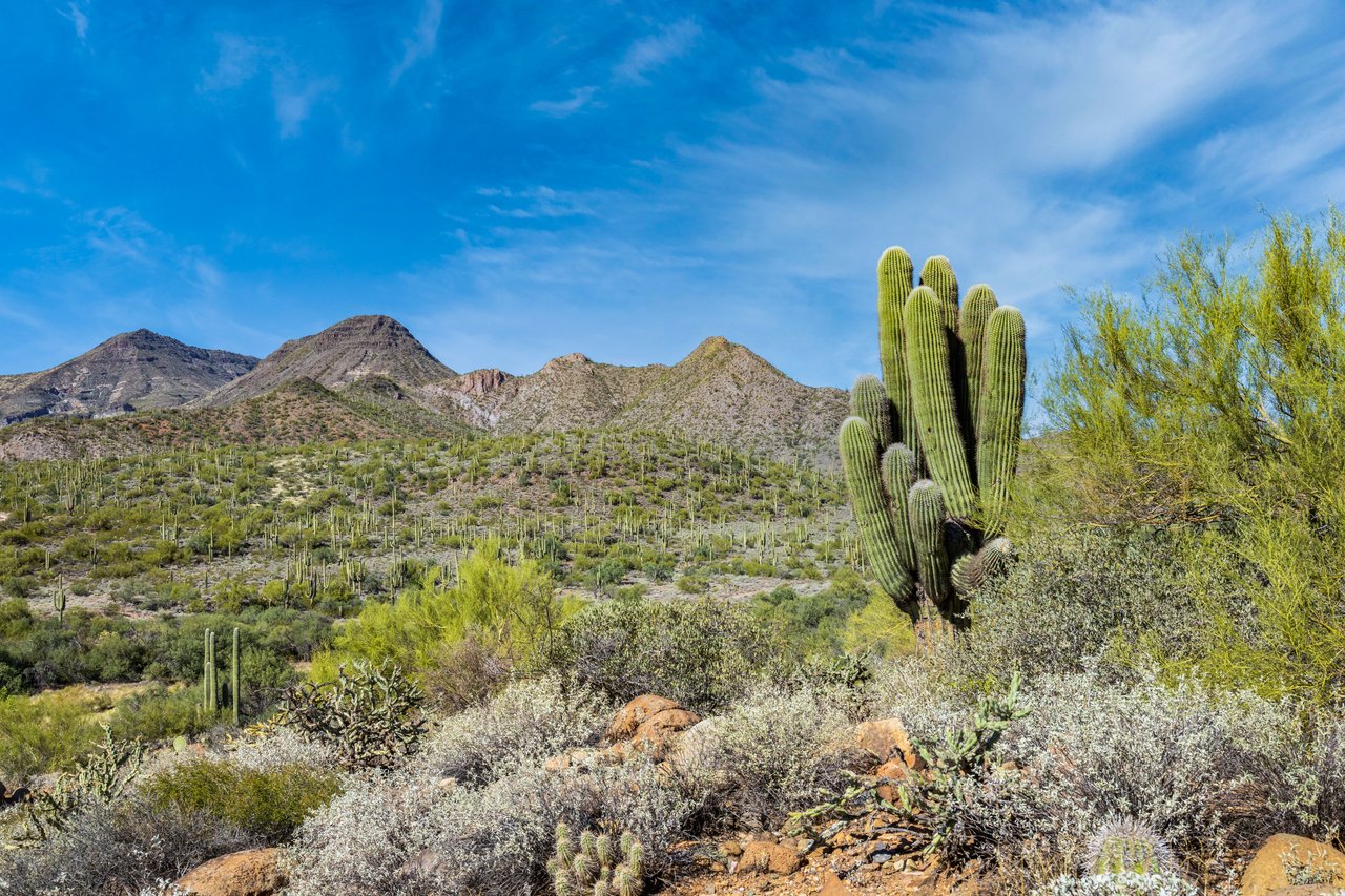 Cave Creek