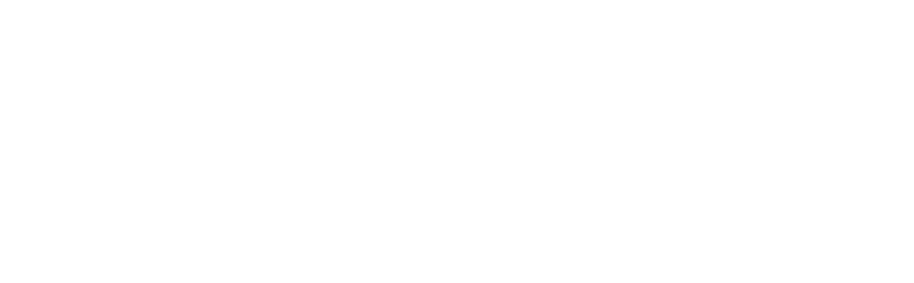 Light Logo