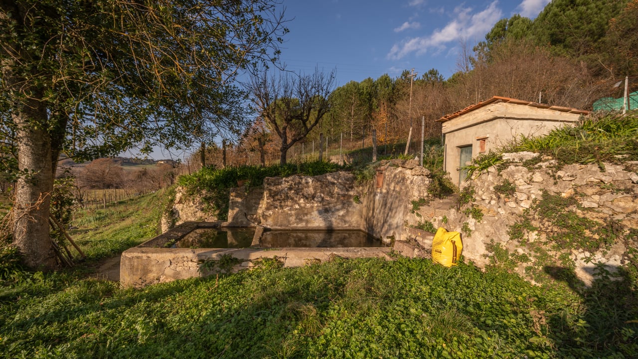 PODERE MAGGIO