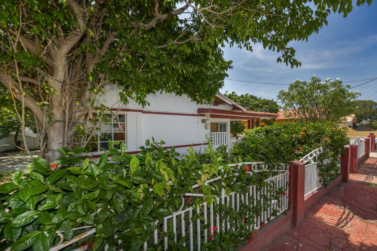 Noord Cura Cabai 125