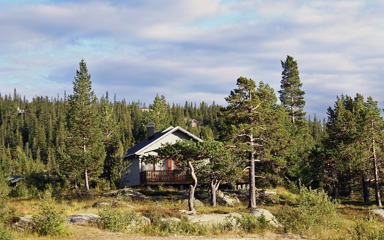 Understanding Your Homeowner's Insurance Policy in Case of a Wildfire