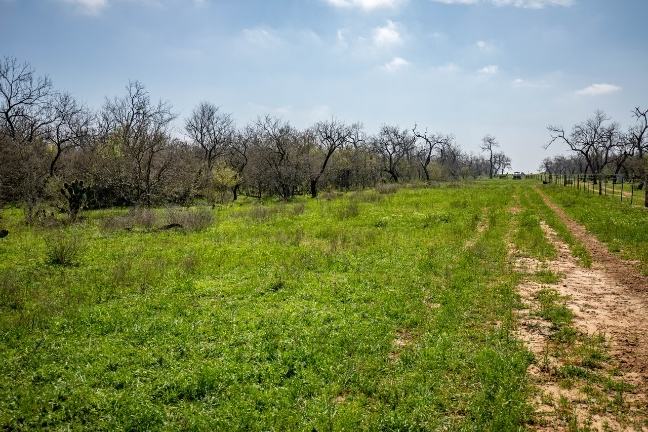Dry Hollow Creek Ranch | 24.29± Acres | Bexar County