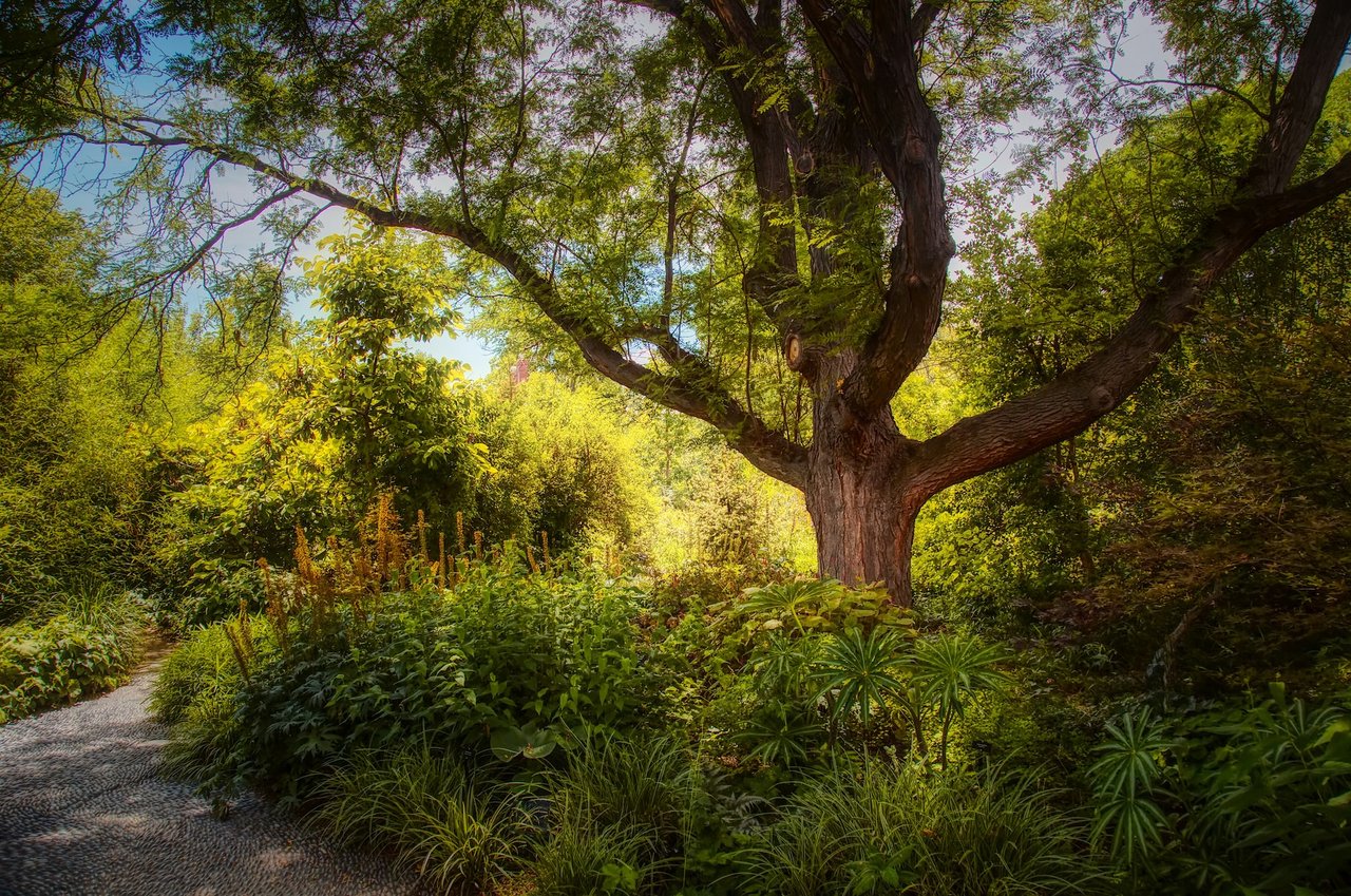 Best Denver neighborhood parks