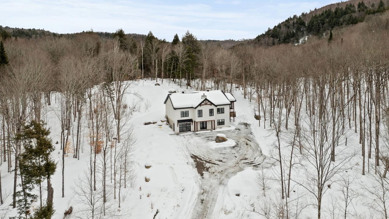 Contemporary Retreat Between Sky and Forest