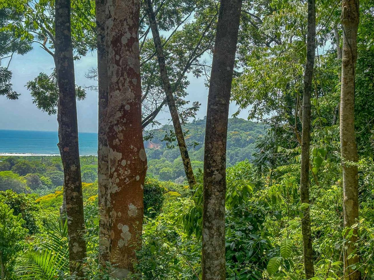 23-Acre Prime Highway Frontage Lot Near Ojochal & Ocean