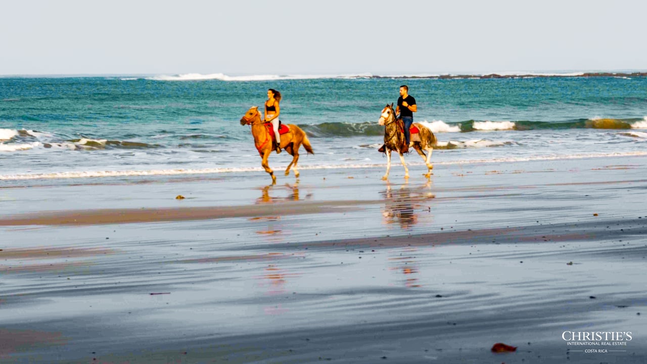 Development Opportunity in Santa Teresa