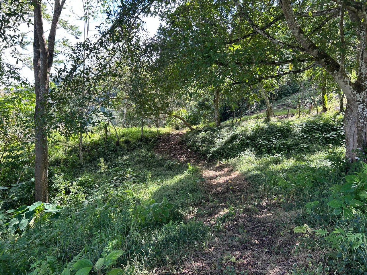 10-Acre Waterfall Farm with Amazing Valley and River View in San Isidro.