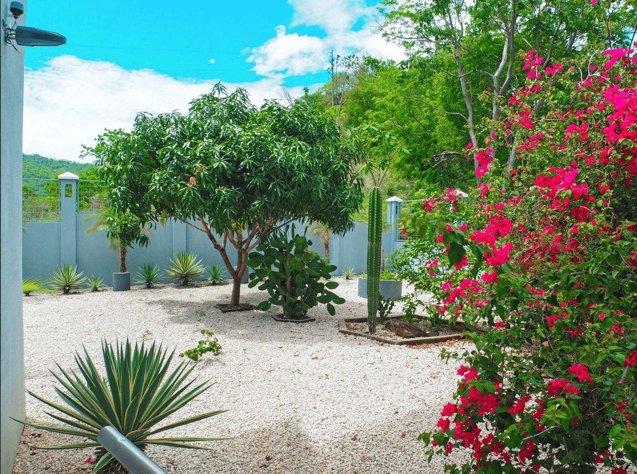 Villa Aquarius - Expansive Oceanview Home - Tempate