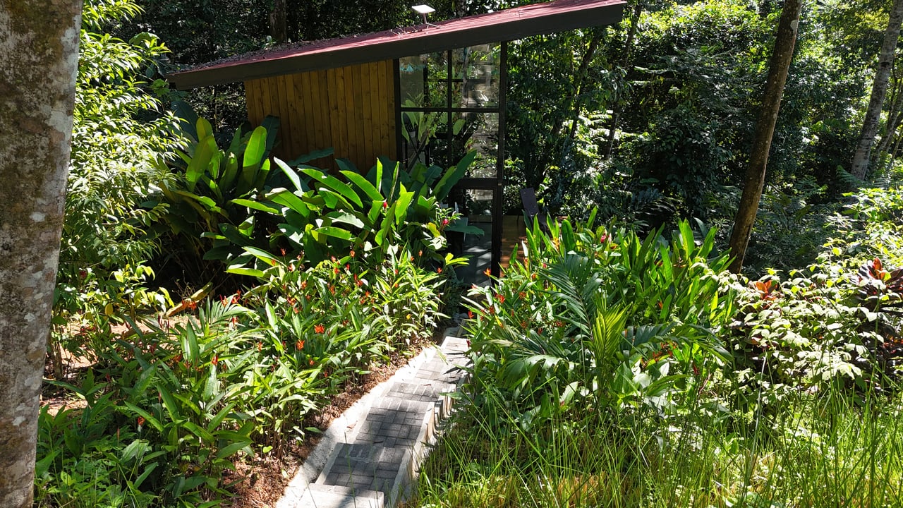 1.7 Acres Ocean View Lot with Producing Cabin in Uvita