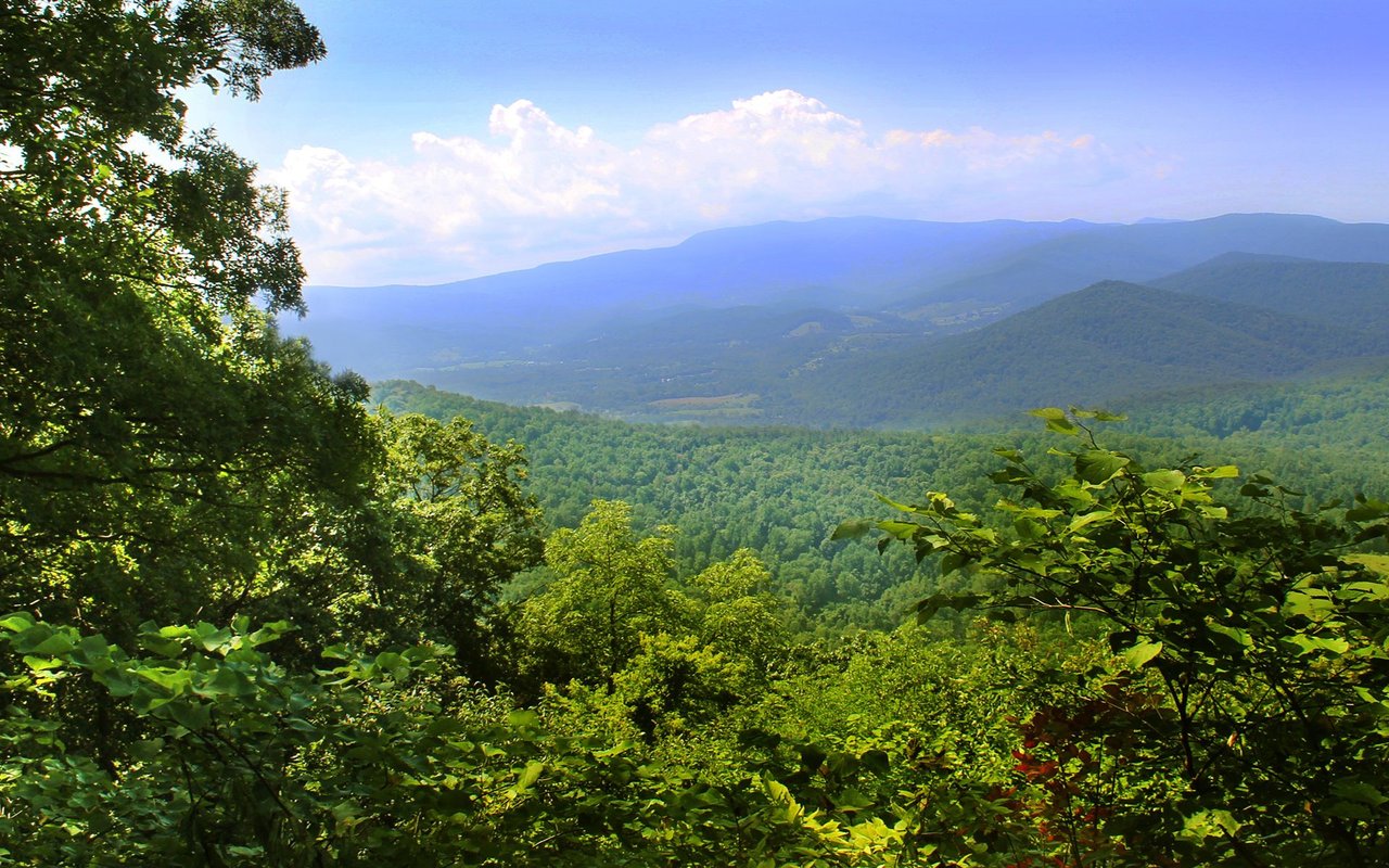 Shenandoah Junction