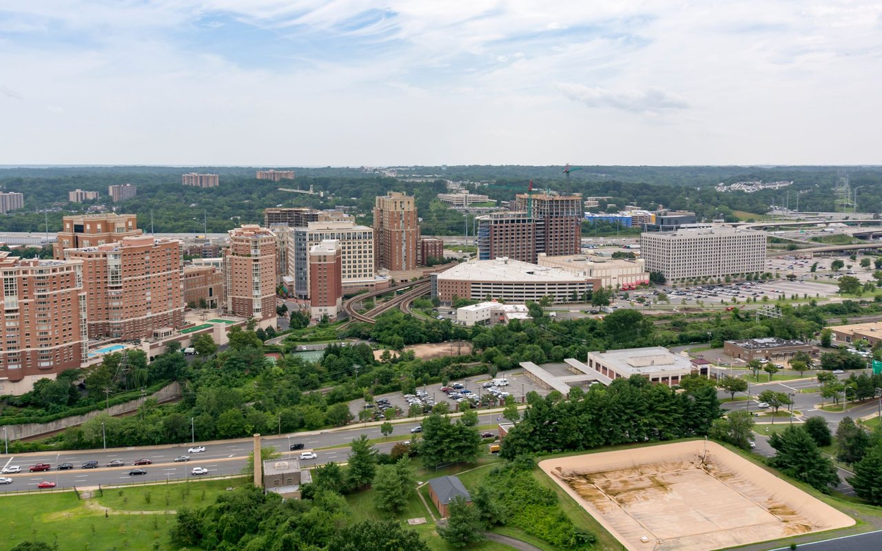 Alexandria