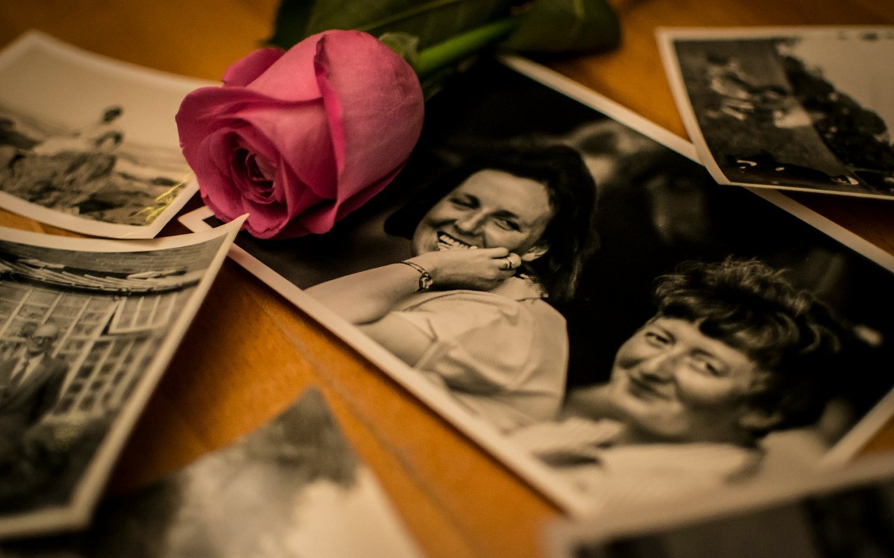 A pink rose rests among old black-and-white family photographs on a wooden table.