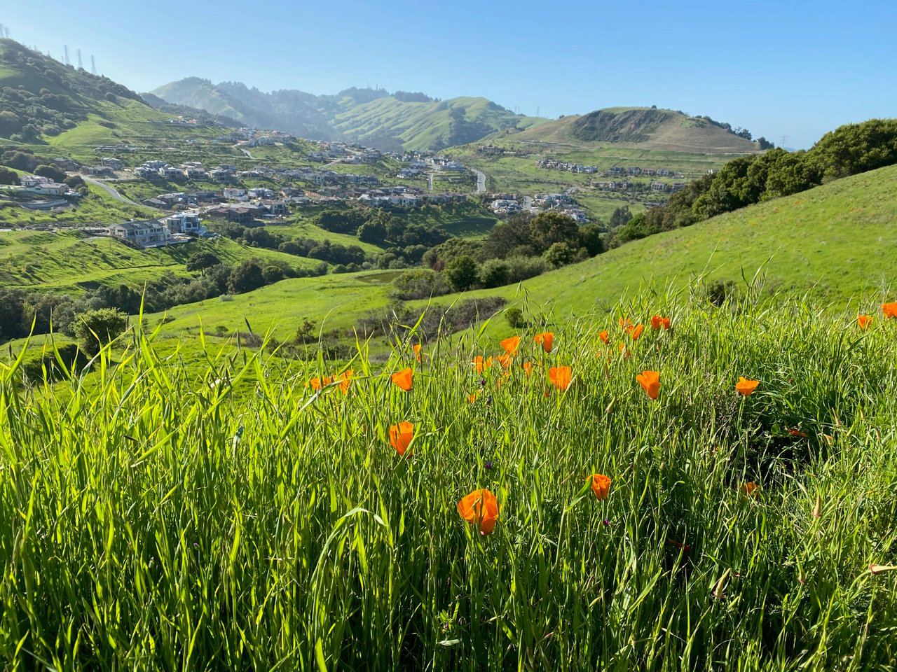 Orinda