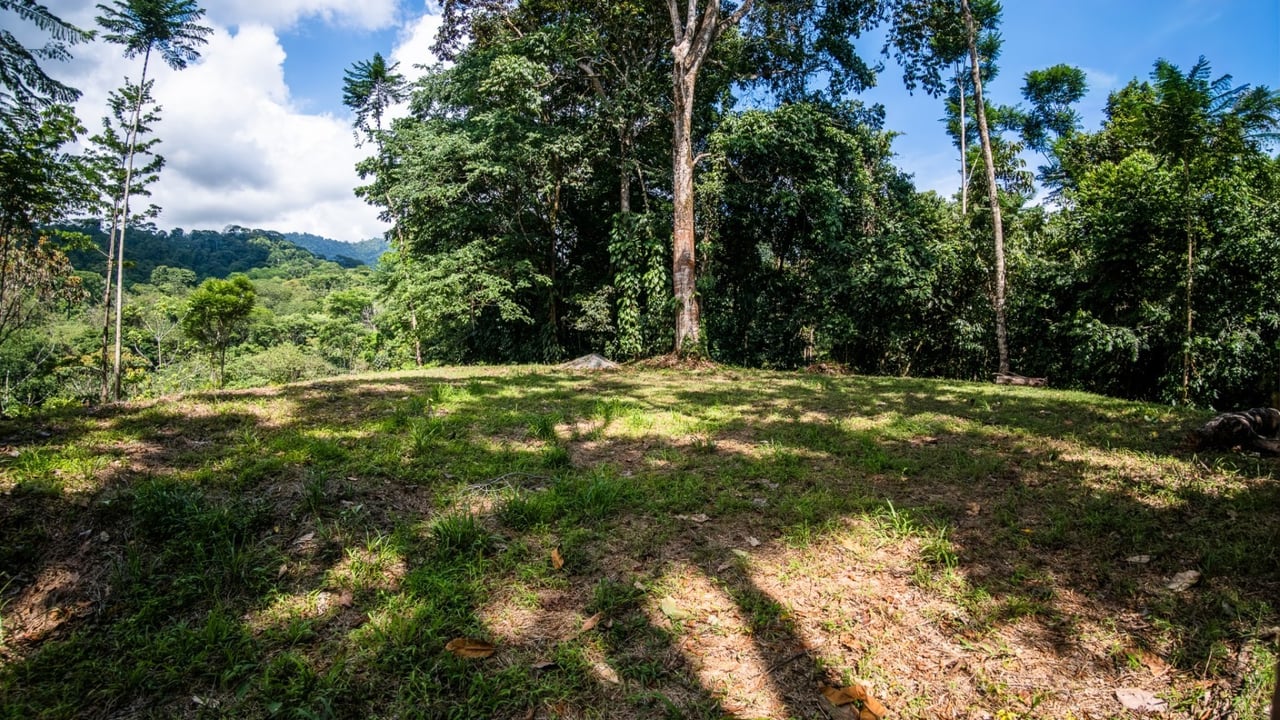 Tropical Sanctuary Above Uvita: 5-Acre Jungle Estate with incredible Mountain Views