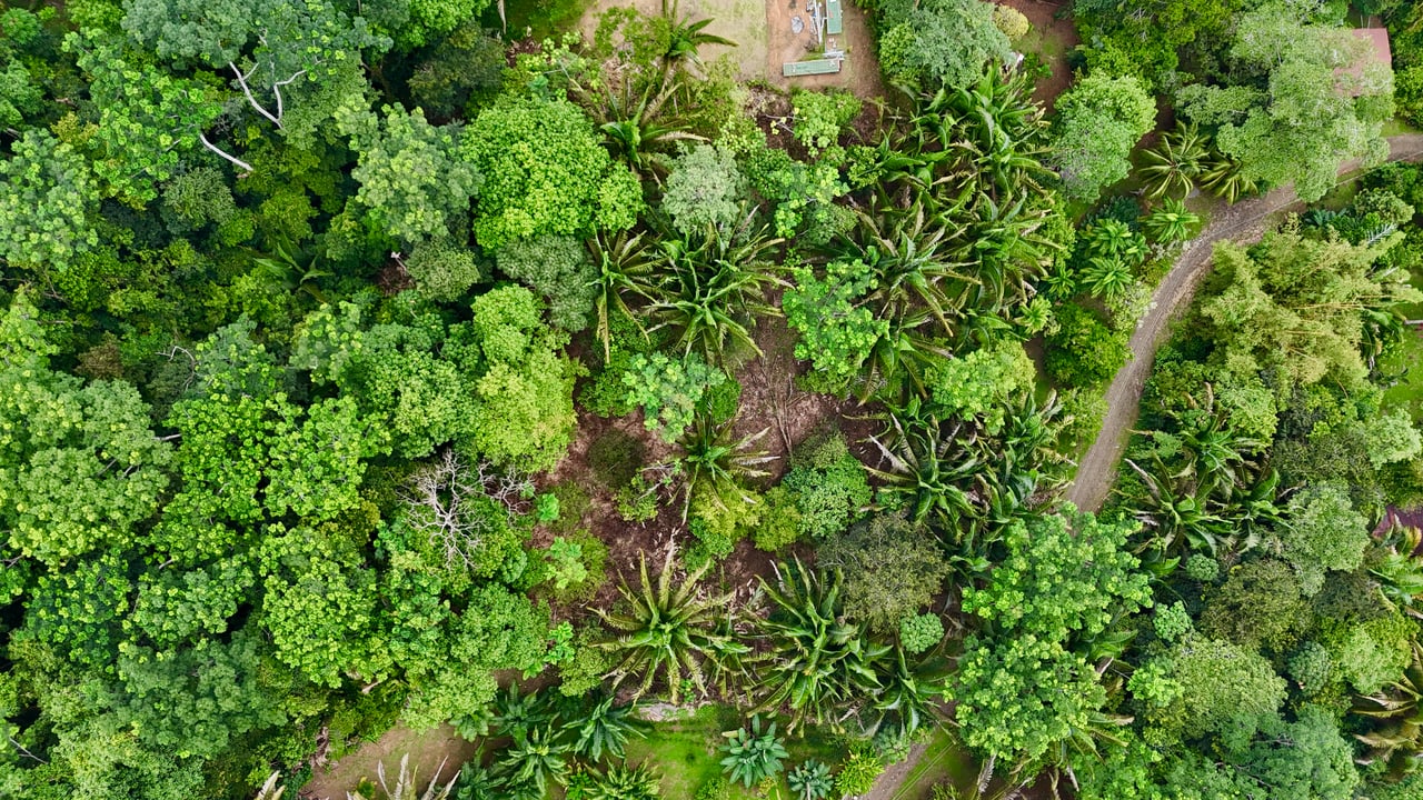 Over 1.4 Acres in Playa Hermosa – Just 5 Minutes from the Beach!