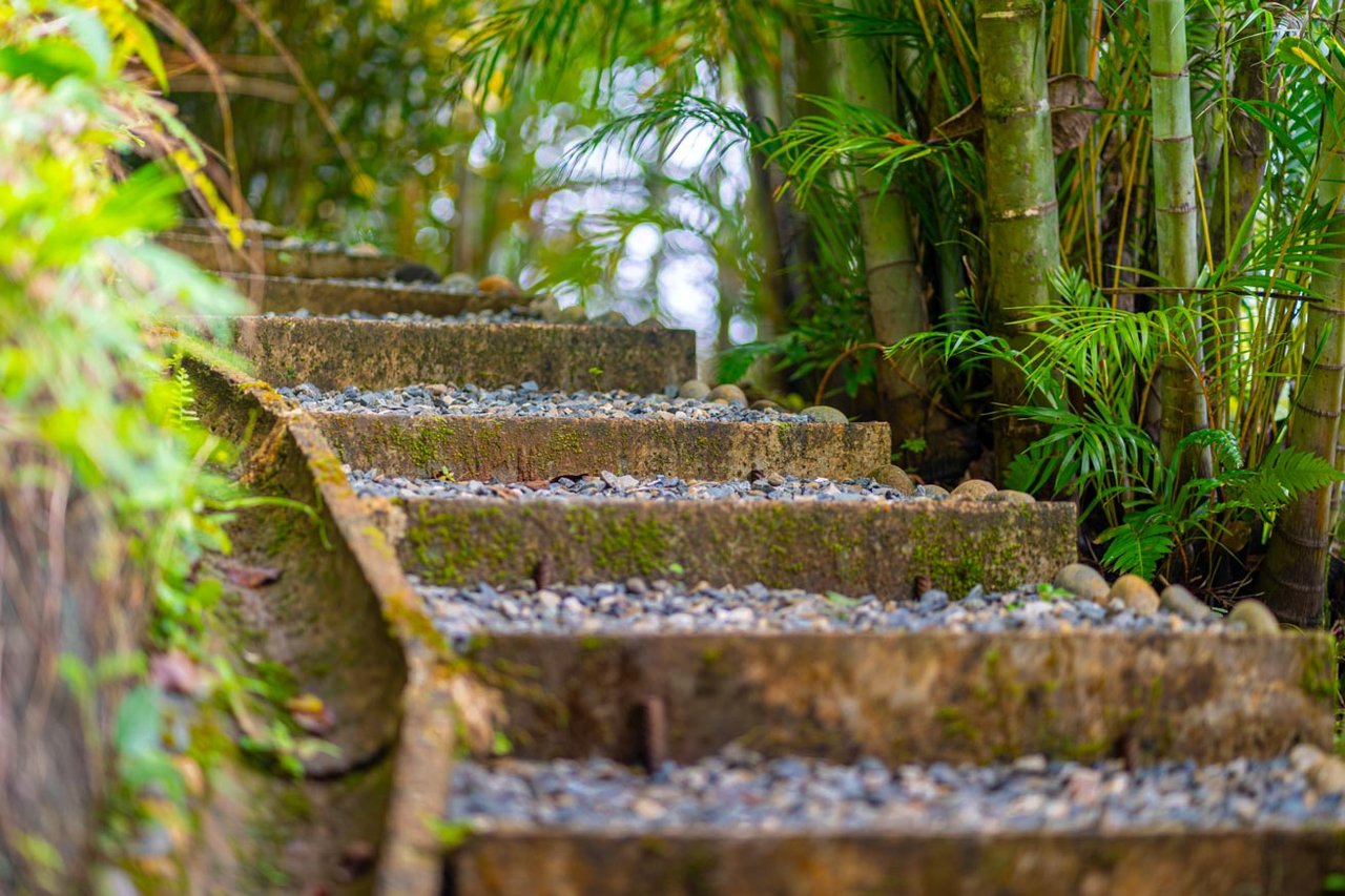 Ocean, jungle & mountain views on a meticulously landscaped 3-home family compound