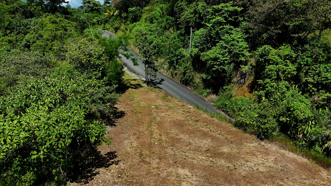  FIRE SALE! Two Adjacent Ocean-View Lots Sold Together – Chontales, Osa (10,487 m² + 9,844 m²)