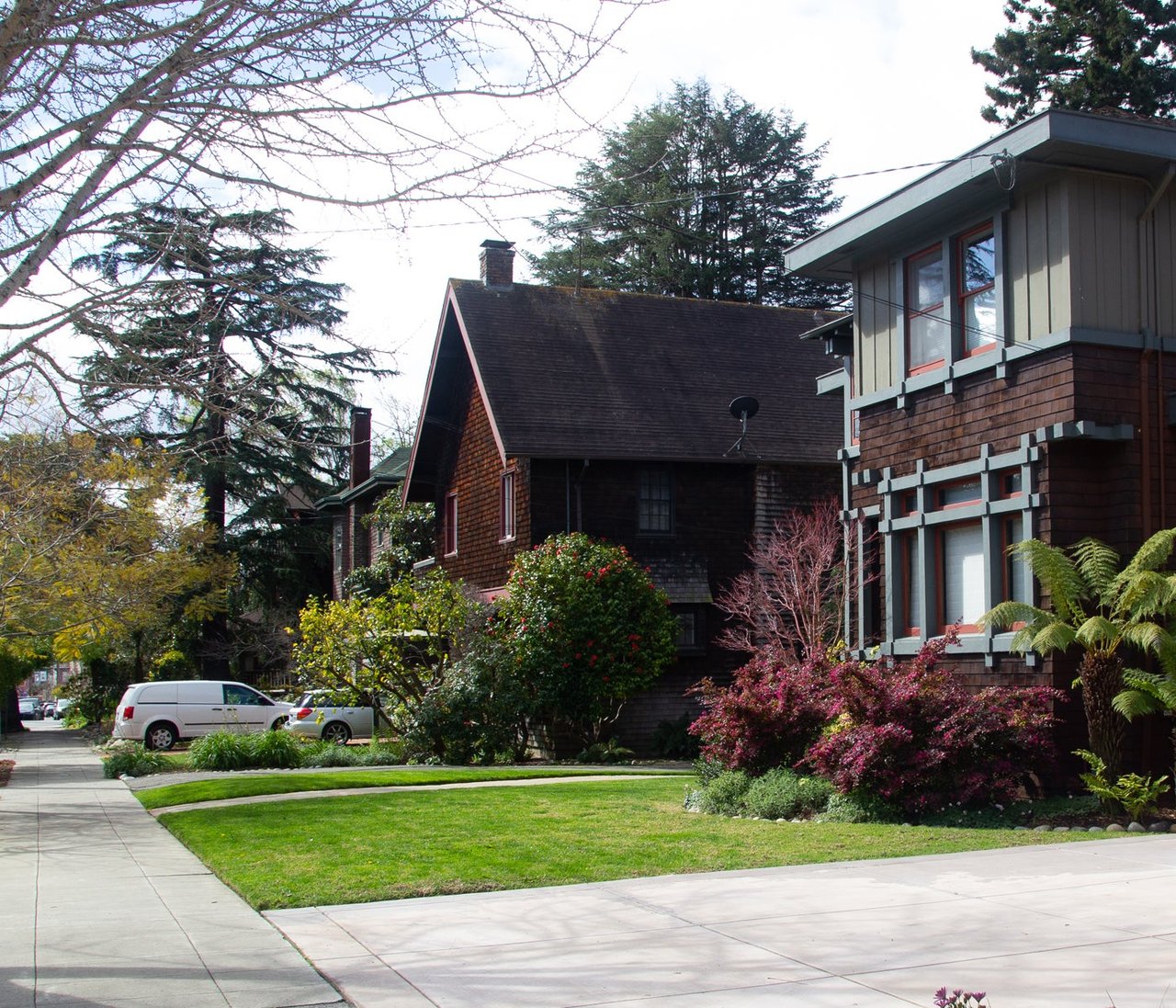 Elmwood