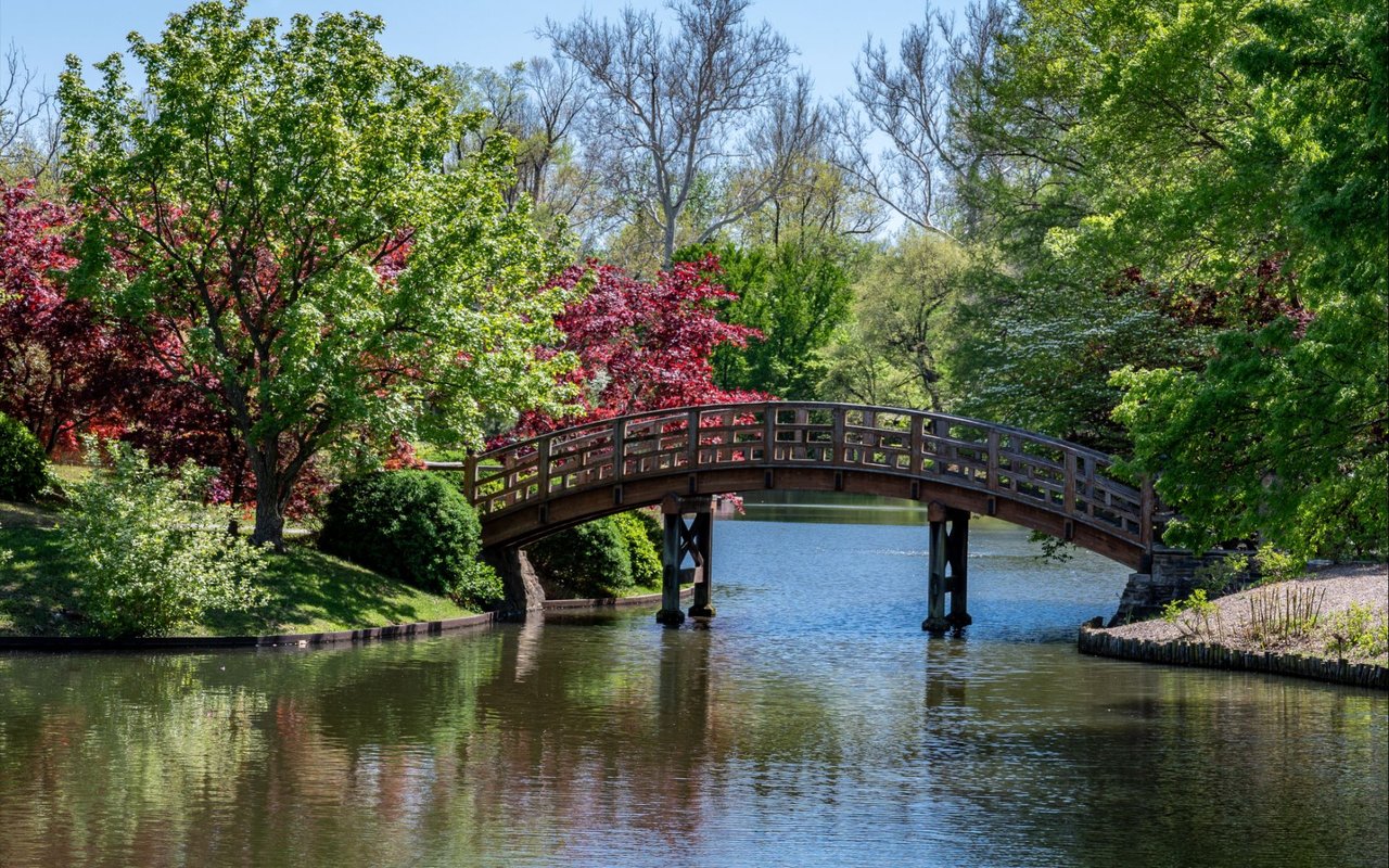 Blue Springs