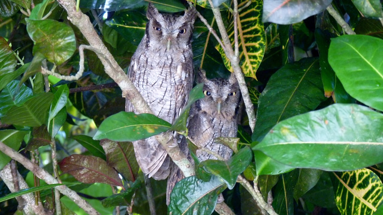 Casa Brisa de La Playa, 2 Bedroom Home Just Steps From the Beach!