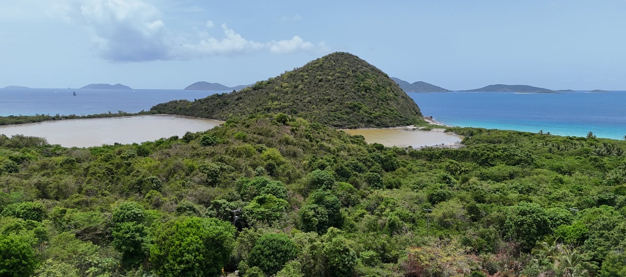 Belmont Estate 403 & 404